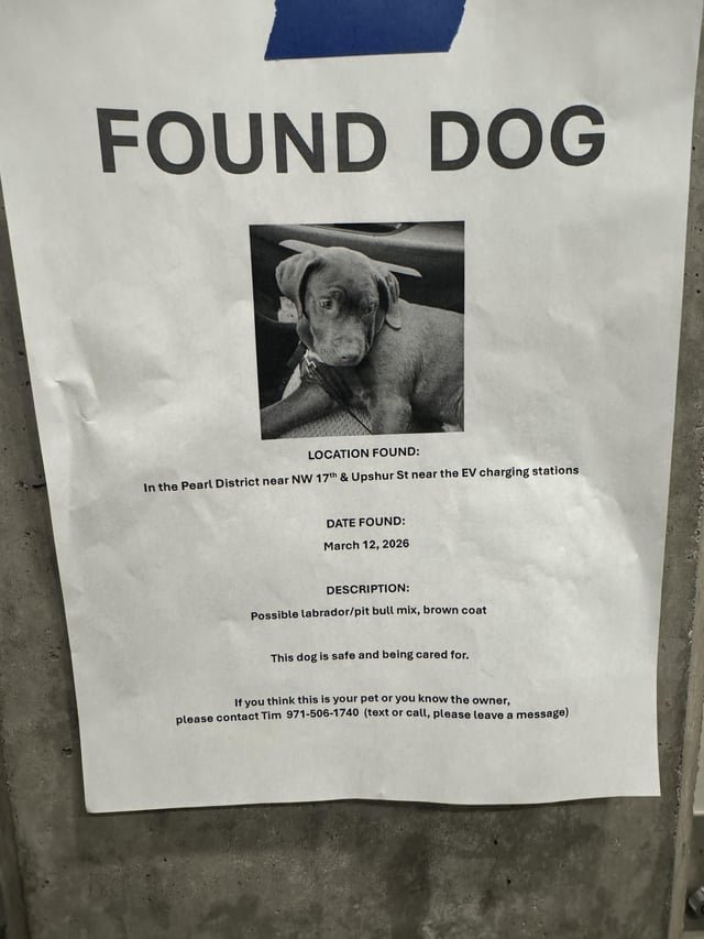 Found Dog in Portland, Oregon — listing photo