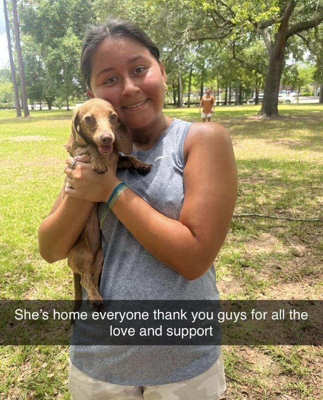 Lost Dog in Jacksonville, Florida — UPDATE ON LOST DOG