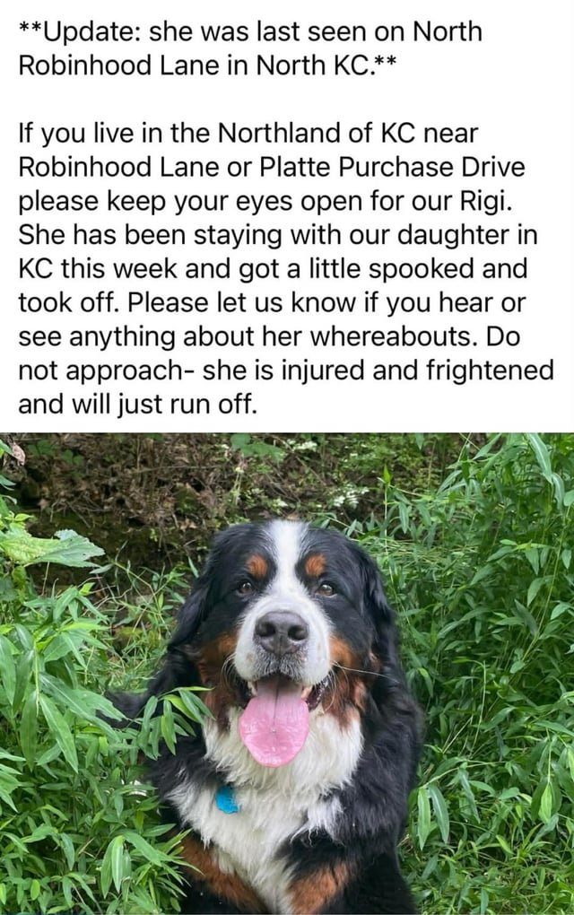 Lost Dog in Kansas City, Missouri — listing photo