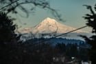 Found Dog in Portland, Oregon — The best view of Mt. Hood from Mt. Tabor isn't in the park