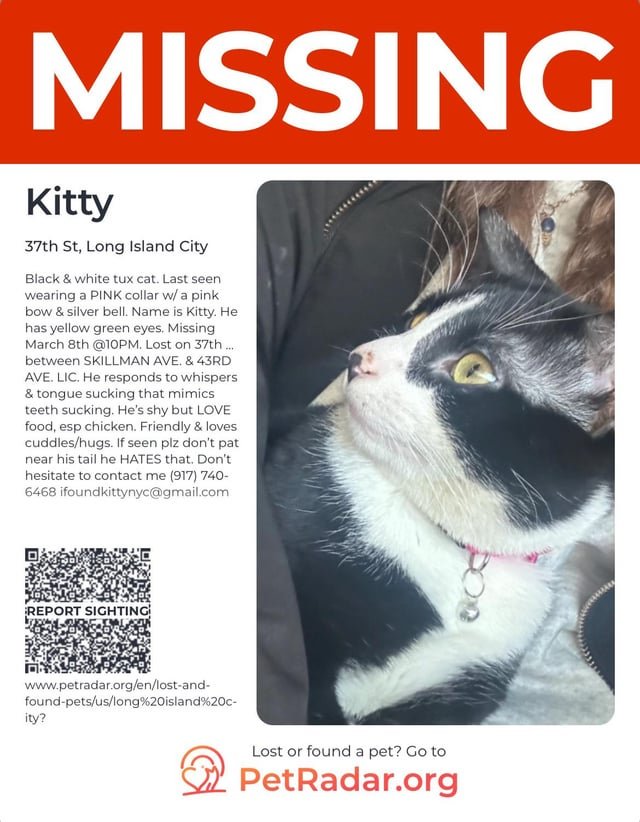 Lost Cat in New York, New York — HELP PLS!! SUNNYSIDE / LIC / WOODSIDE COMMUNITY