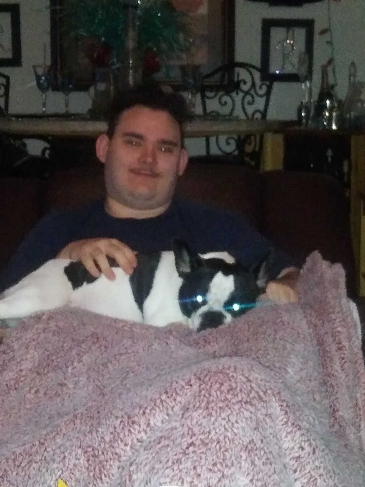 Lost Dog in Silverdale — listing photo