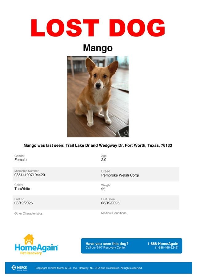 Lost Pet in Fort Worth, Texas — listing photo