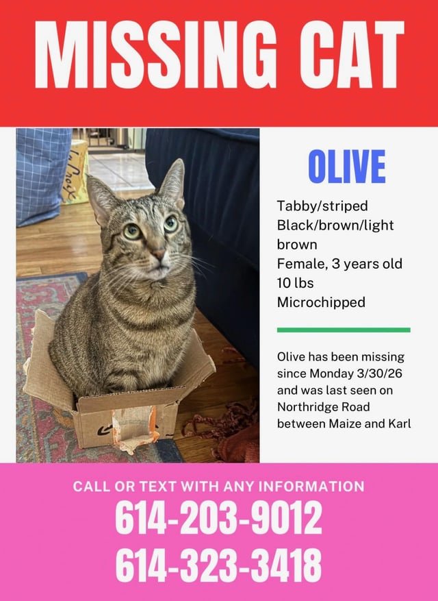 Lost Cat in Columbus, Ohio — listing photo