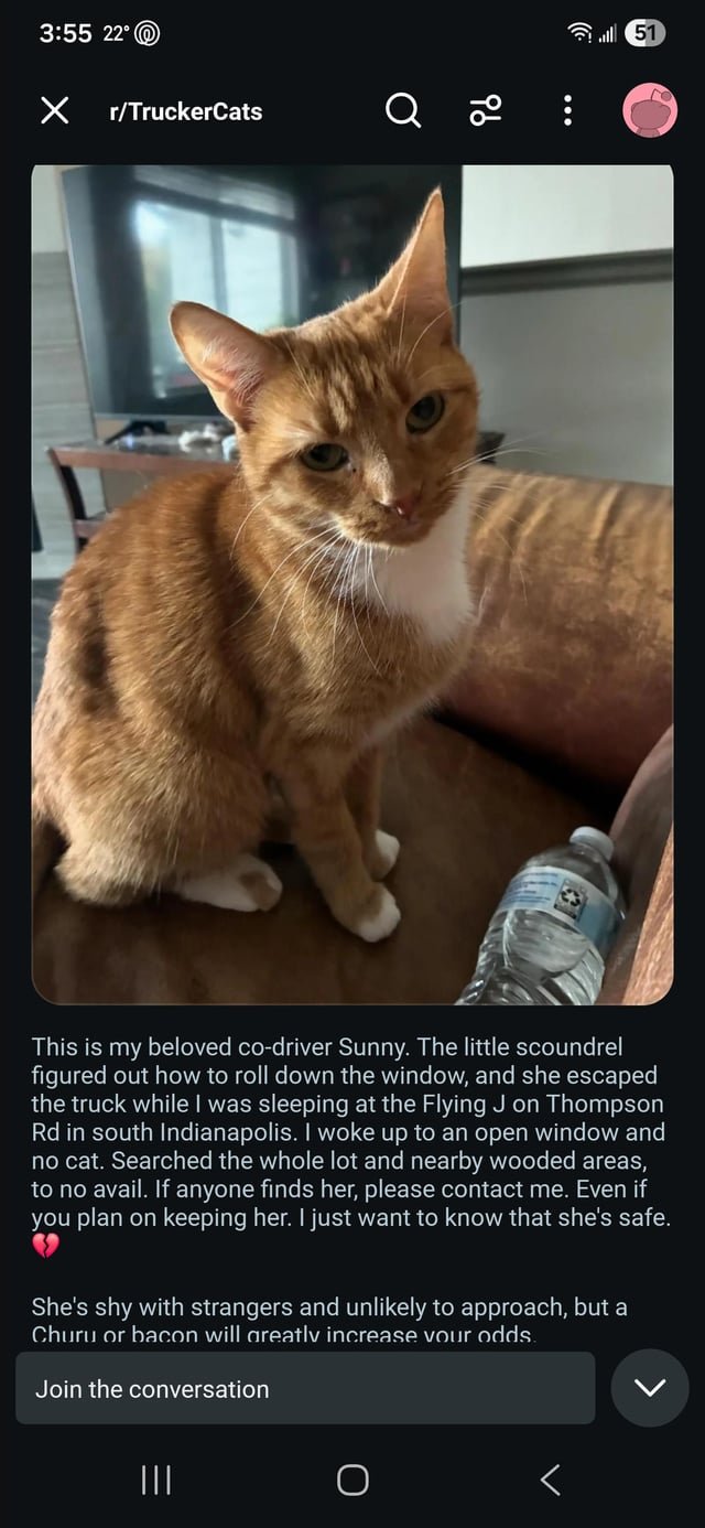 lost pet in Indianapolis, Indiana