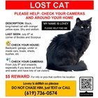 lost cat in San Diego, California