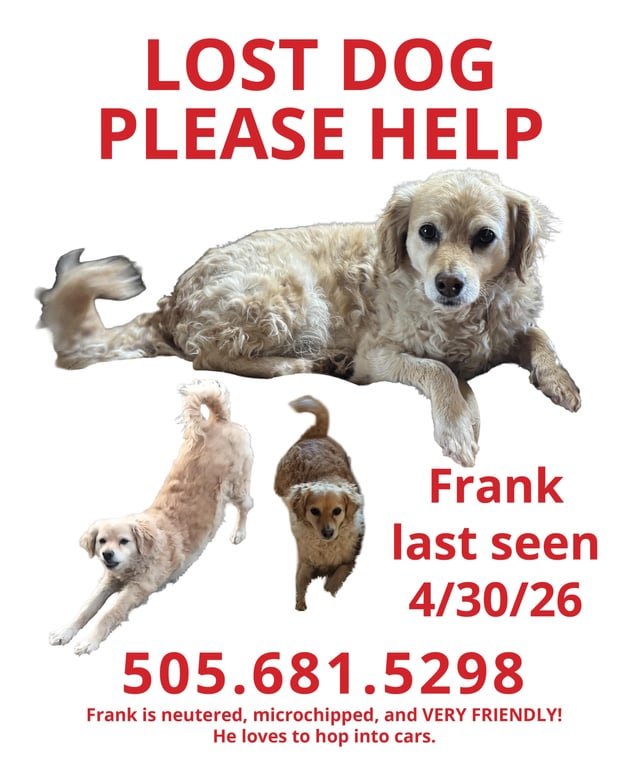 Lost Pet in Albuquerque, New Mexico — Frank is still missing have you seen him?