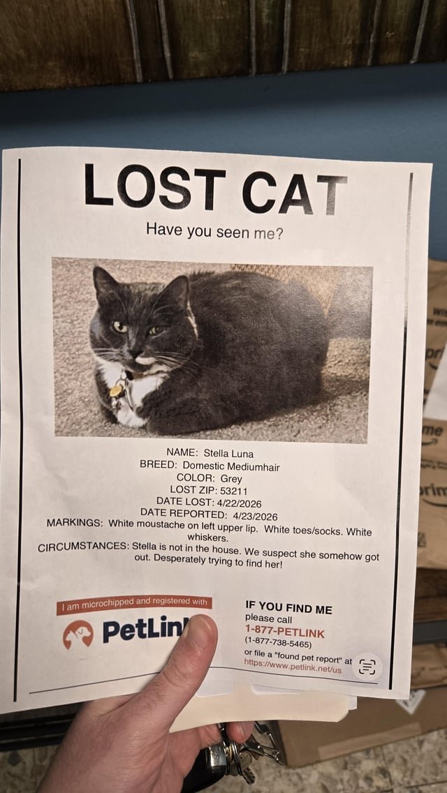 Lost Cat in Milwaukee, Wisconsin — listing photo