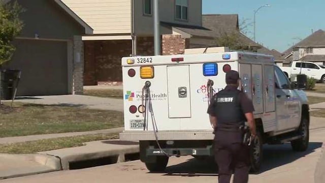 Pet alert in Houston, Texas — What happened after the dog attack in Katy in December 2025?