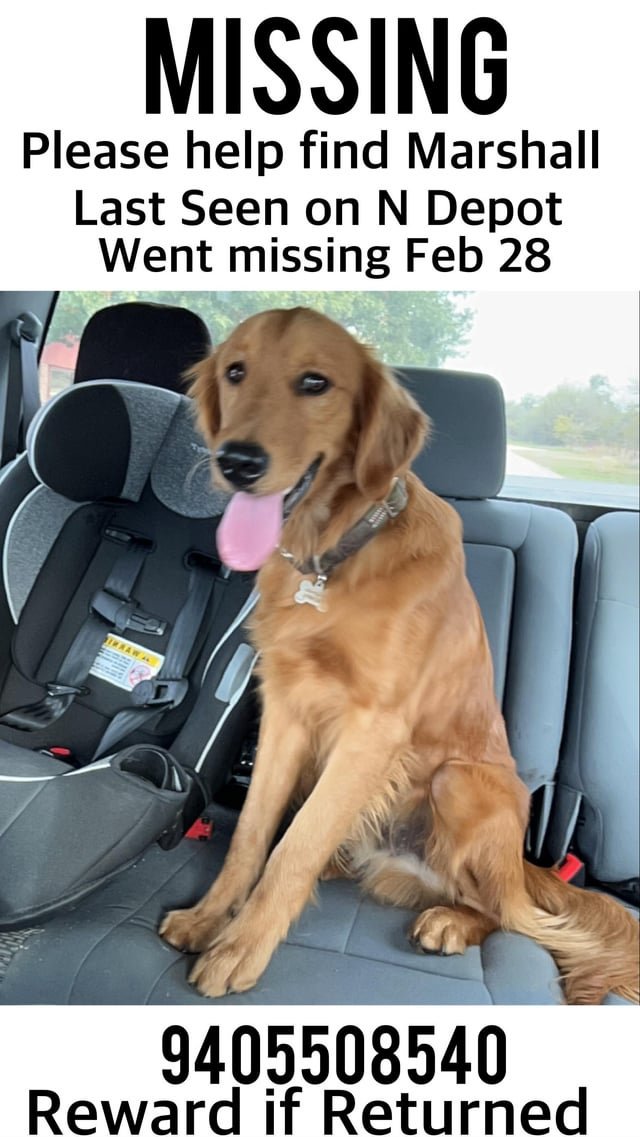 Lost Dog in Golden — listing photo