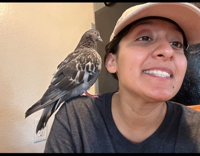 Lost Pet in Anaheim, California — listing photo