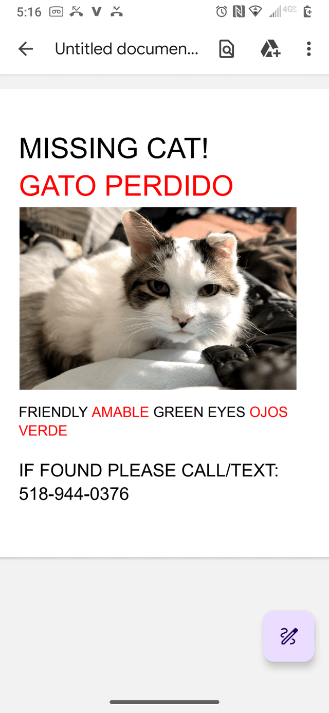 lost pet in Buffalo, New York