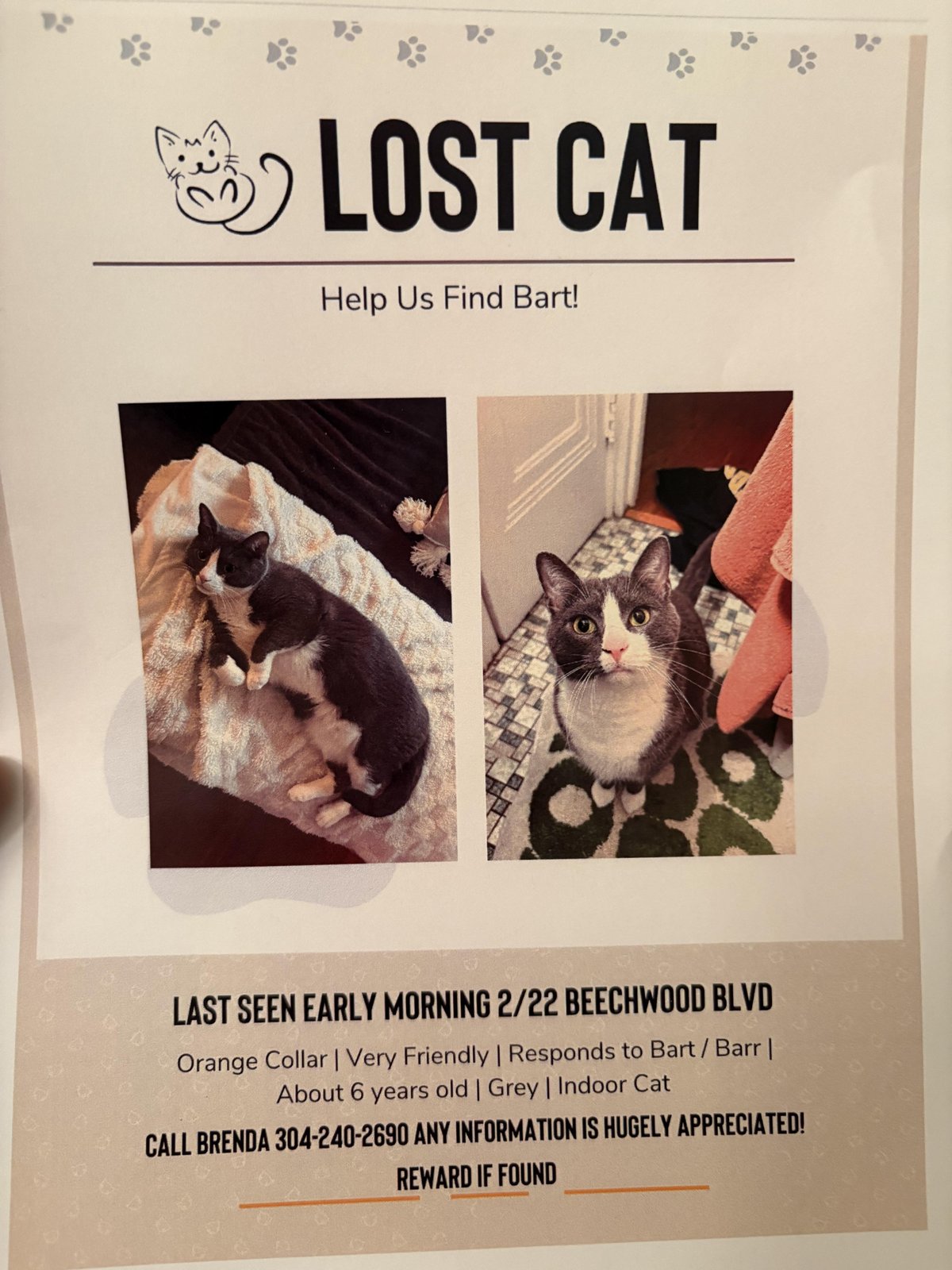 Lost Pet in Pittsburgh, Pennsylvania — listing photo