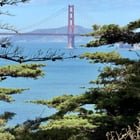 Lost Dog in San Francisco, California — Land's End today 🤩❤️