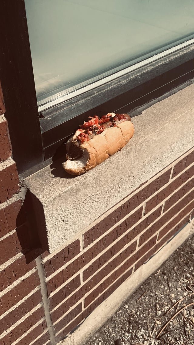 Lost Dog in Chicago, Illinois — Abandoned Hot Dog in Lakeview