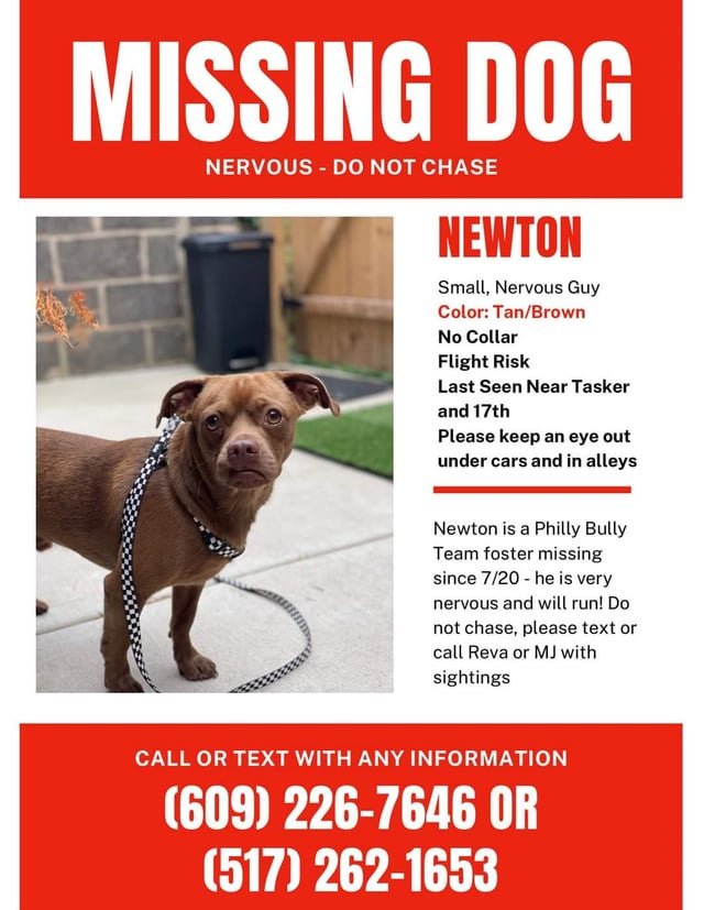 lost dog in Philadelphia, Pennsylvania