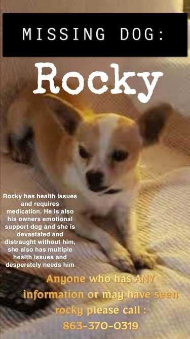 Lost Dog in Winter Haven — listing photo