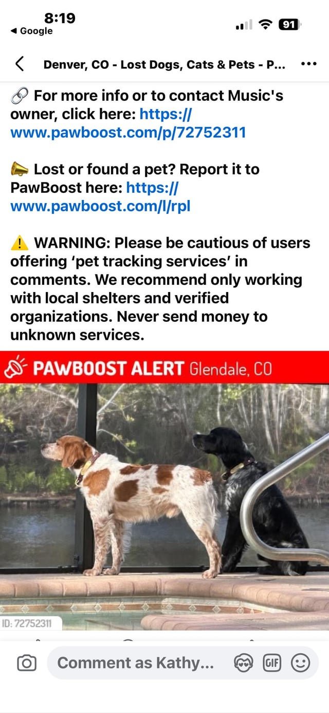 Lost Pet in Denver, Colorado — listing photo