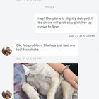 Found Dog in Erie, Pennsylvania — My dog was severely injured and left septic after a Rover stay — please be cautious who you…
