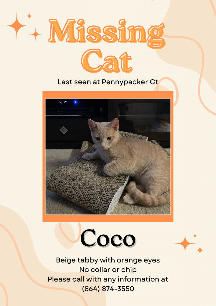 Lost Cat in Greer — listing photo