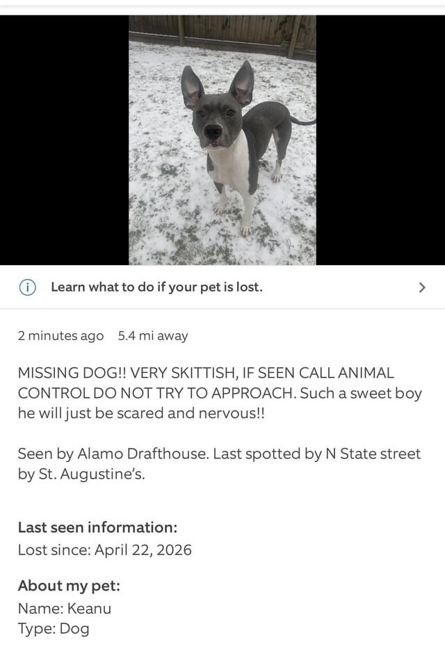 lost dog in Raleigh, North Carolina
