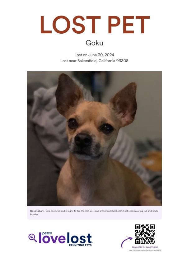 Lost Dog in Bakersfield, California — listing photo