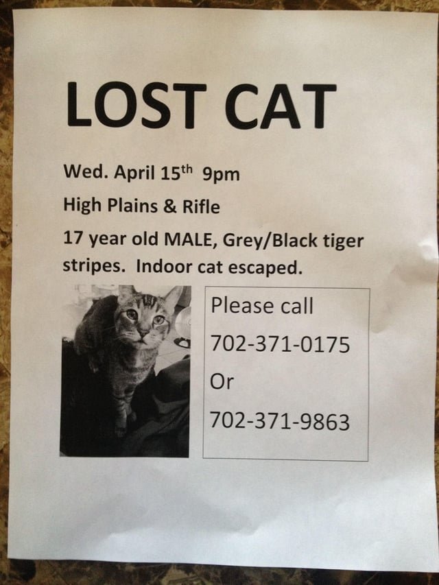Pet alert in Las Vegas, Nevada — Might be a bit of a stretch, but I lost my 17-year-old cat in Henderson near the 95 and College…