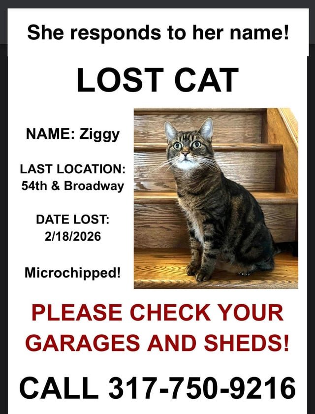 lost pet in Indianapolis, Indiana