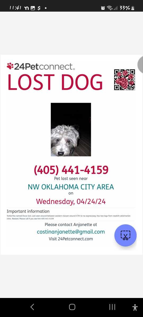 Lost Dog in Oklahoma City, Oklahoma — listing photo