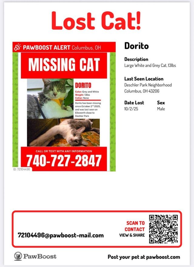 lost cat in Columbus, Georgia