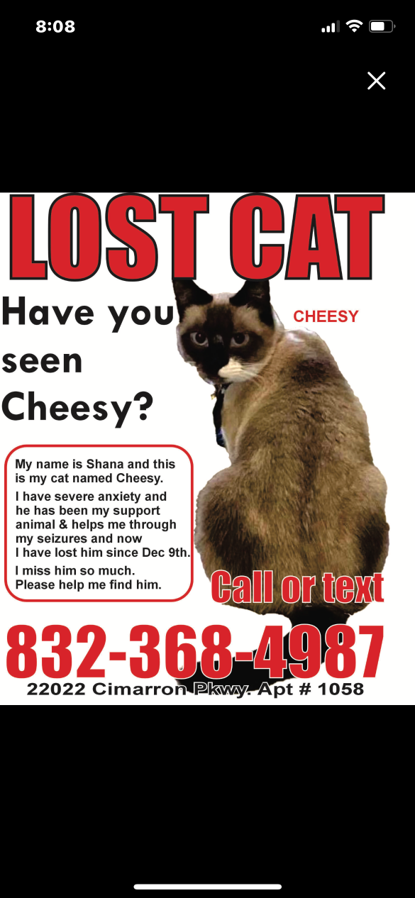 Lost Cat in Houston, Texas — listing photo