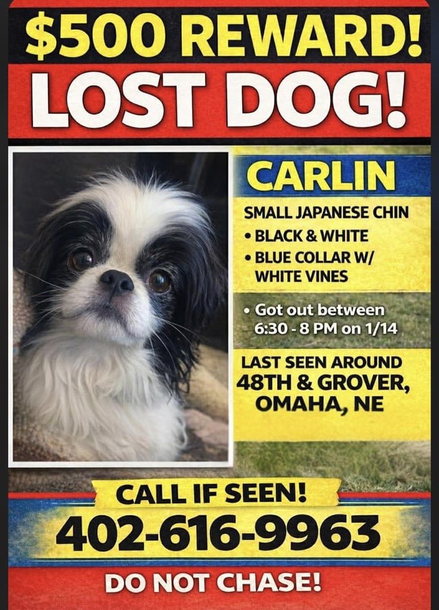 Lost Pet in Omaha, Nebraska — listing photo