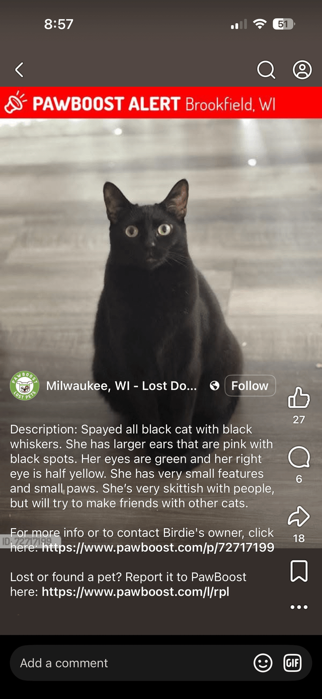 Lost Cat in Milwaukee, Wisconsin — listing photo