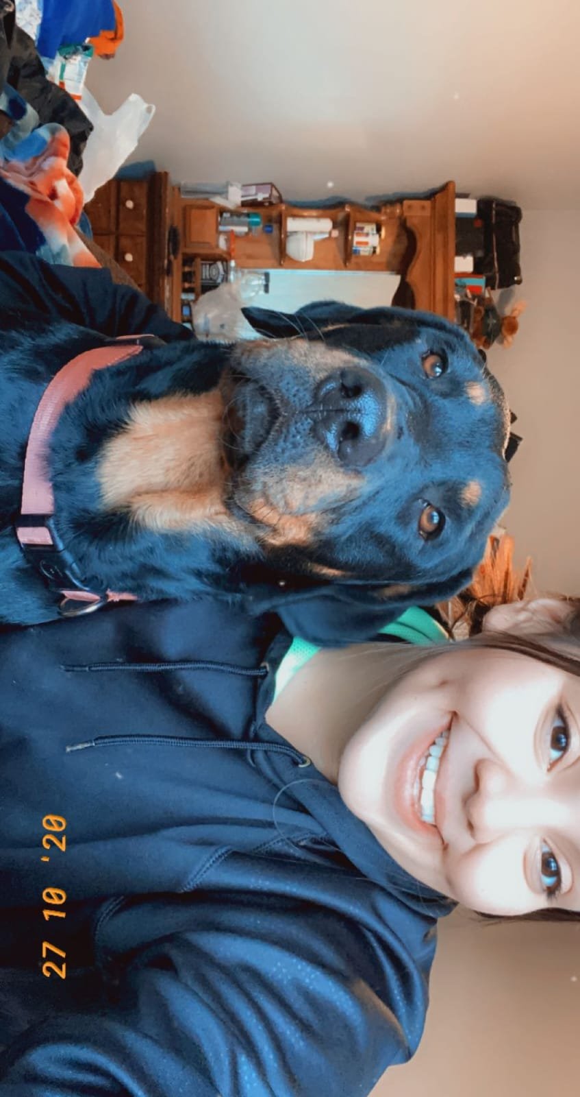 Lost Dog in Santa maria el pqso — listing photo