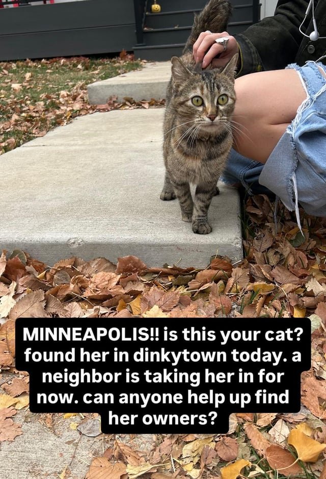 Found Pet in Minneapolis, Minnesota — listing photo