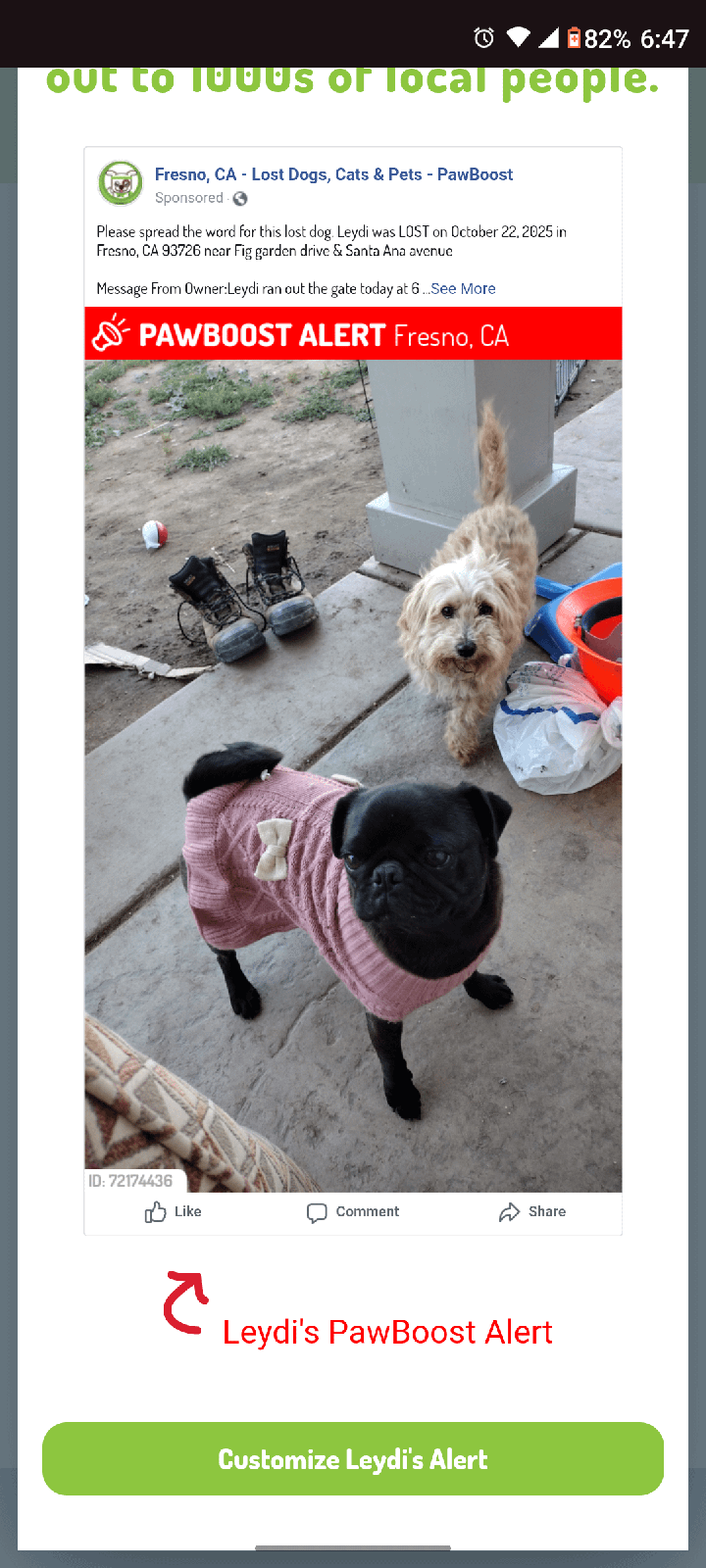 Lost Pet in Fresno, California — listing photo