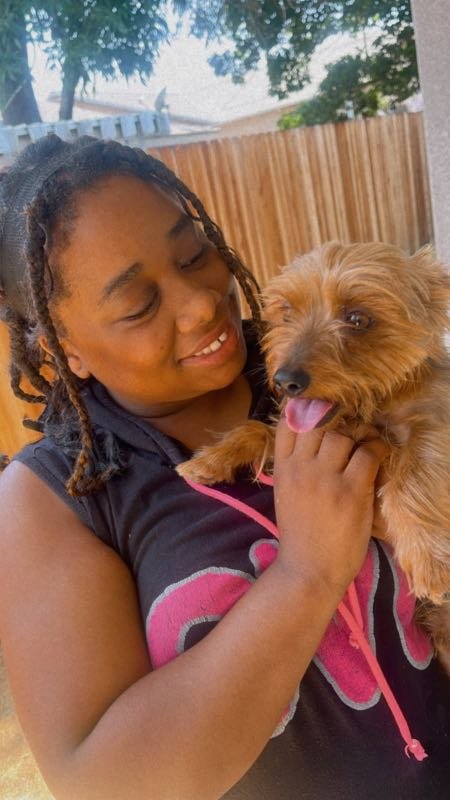 Lost Dog in Etiwanda ave — listing photo