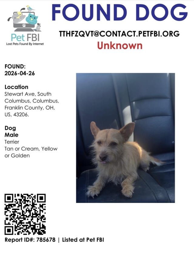 found dog in Columbus, Ohio