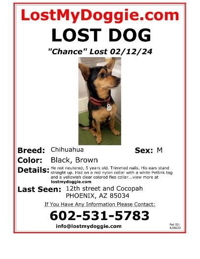 Lost Dog in Phoenix, Arizona — listing photo