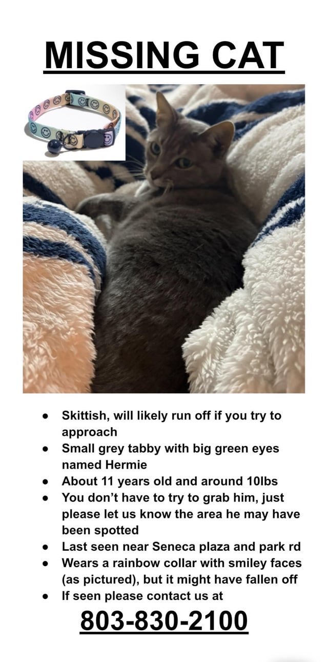 Lost Cat in Charlotte, North Carolina — listing photo