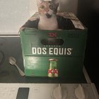 lost pet in Fort Worth, Texas