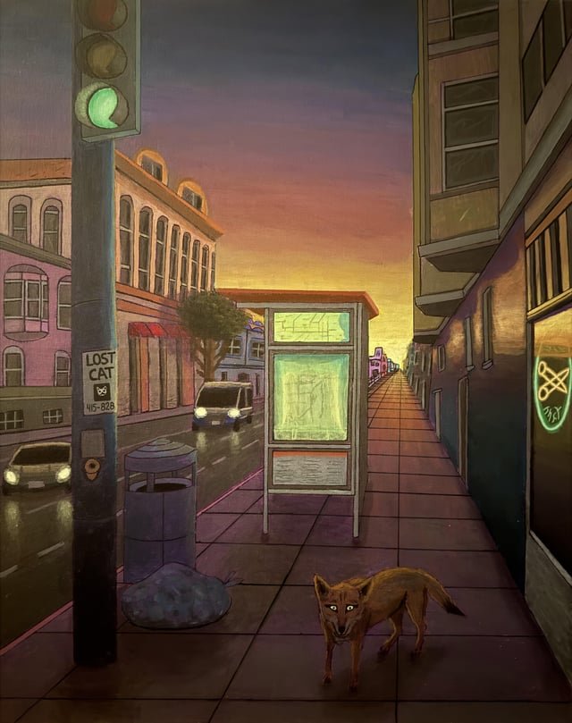 lost cat in San Francisco, California