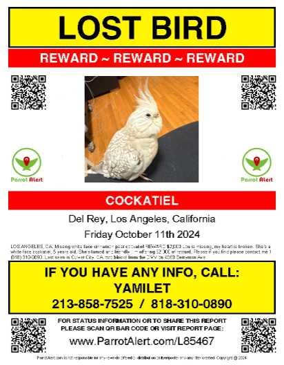 Lost Pet in Los Angeles, California — listing photo