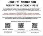 Lost Dog in K — Fyi - For those that have their pets microchipped