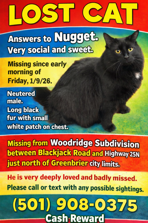 Lost Cat in Greenbrier — listing photo