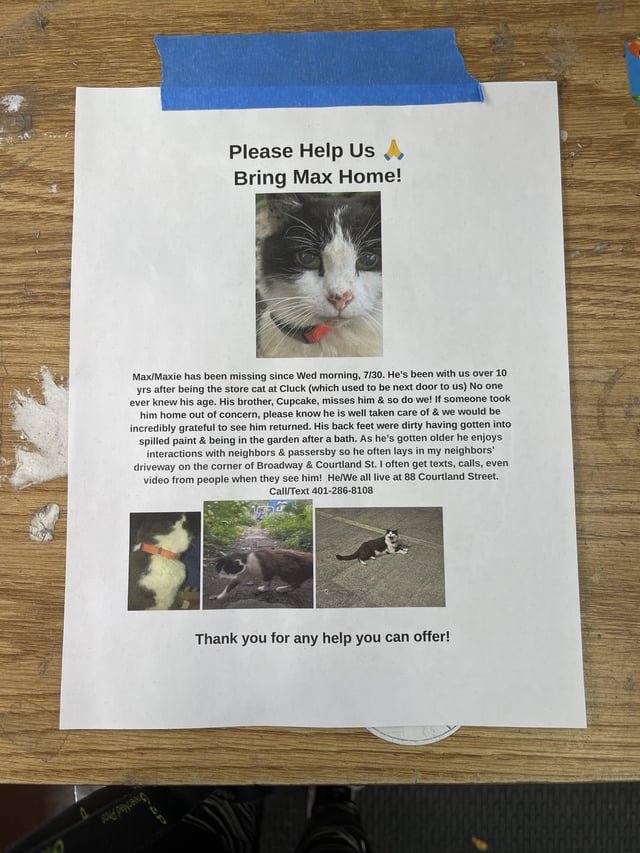 Lost Cat in Providence, Rhode Island — listing photo
