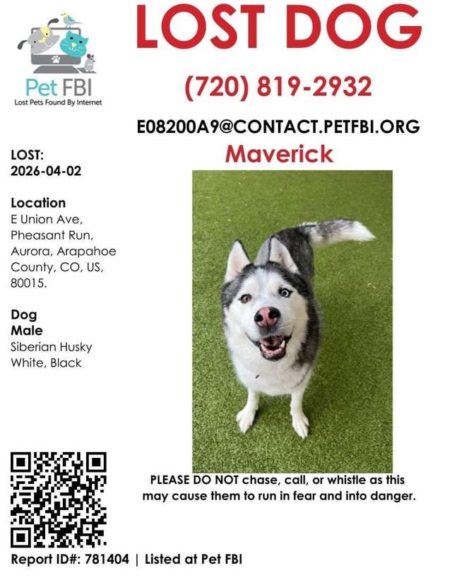 lost dog in Denver, Colorado