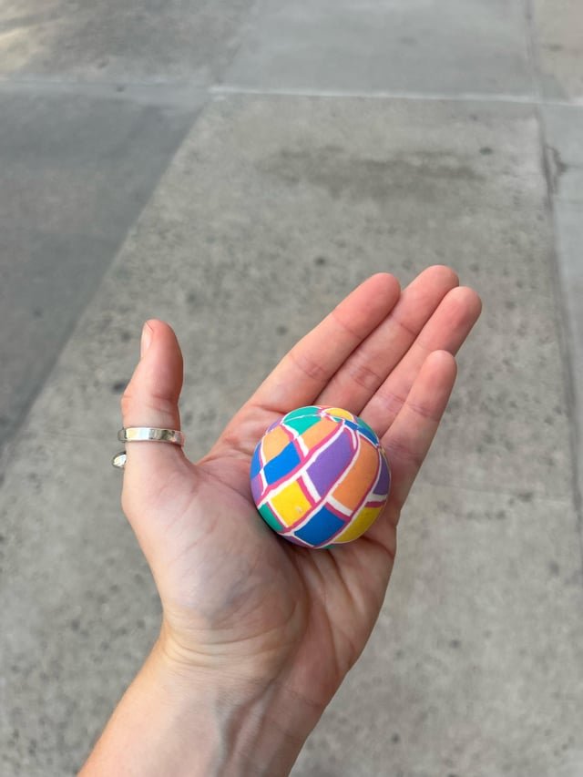 Lost Dog in New York, New York — 2 dogs & a Rainbow ball in Central Park