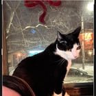 Lost Cat in Providence, Rhode Island — listing photo