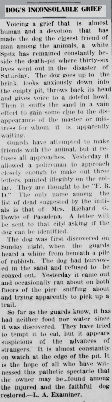 Found Dog in Los Angeles, California — I found this heartbreaking article published in May 1913 about a dog who refused to leave…